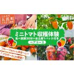 fu.... налог body . билет Ibaraki префектура .. блок Nakamura san дом. помидор .. body . пара course 2026 год 5 месяц 6 день среда праздничный день открытие - сельское хозяйство body .30 минут еда ...1 упаковка приложено...