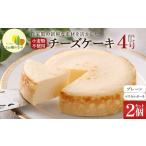 蔵王 プレーンチーズケーキ チーズケーキ