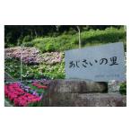 fu.... налог входной билет * пригласительный билет префектура Аичи . уезд город G0772 время ограничено . уезд запах .. форма . горячие источники ..... . входной билет 3 листов . сувенир (.... саженец маленькая миска 3 номер размер )