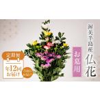 花 苗木 花束 定期便 年12回 仏花 日時指定可