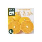 みかん 柑橘類 先行受付 せとか 4kg