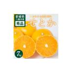 みかん 柑橘類 先行受付 せとか 7kg