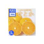 みかん 柑橘類 先行受付 ご せとか 3kg