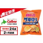 菓子 スナック 9月30日受付終了 定期便2カ月