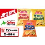 菓子 スナック 9月30日受付終了 定期便2カ月