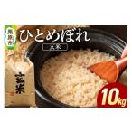 ふるさと納税 米 ひと�