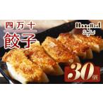 の食と地域の魅力を包んだ 四万十餃子 Qih-B01