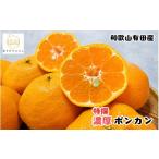 特選 濃厚 ポンカン約3kg+200g 傷み補償分