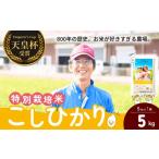 米 コシヒカリ 定期便3ヶ月 精米 5kg