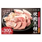 牛肉 焼肉 バーベキュー 佐賀の恵み 三種焼肉セット