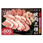 牛肉 焼肉 バーベキュー 佐賀の恵み 三種焼肉セット