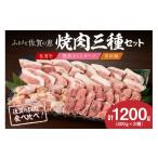 牛肉 焼肉 バーベキュー 佐賀の恵み 三種焼肉セット