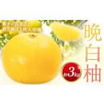果物類 晩白柚 約3kg
