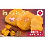 野菜類 サツマイモ 中園ファーム 半熟 焼き干し芋 100g×2袋