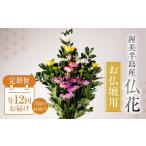 花 苗木 花束 定期便 年4回 仏花 日時指定可