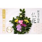 花 苗木 花束 お彼岸用 秋 仏花 特選 日時指定可
