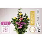 花 苗木 花束 定期便 年2回 仏花 特選 日時指定可
