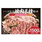 牛肉 焼肉 バーベキュー 佐賀の恵み 三種焼肉セット