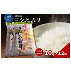 米 コシヒカリ 10kg