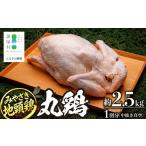 鶏肉 みやざき地頭鶏 1羽 中抜き 丸鶏 セット