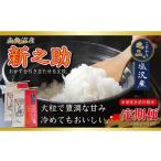 米 令和8年産 定期便6ヵ月 南魚沼産新之助10kg一等米 5kg×2…