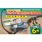 fu.... налог входной билет * пригласительный билет Hokkaido ... блок . мир 8 год 4 месяц 25 день OPEN динозавр × море . окаменелость ... блок . другой динозавр музей общий входить павильон талон для взрослых 6 шт. комплект MKWAM002.......