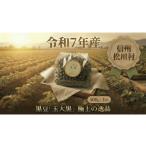 豆類 黒豆 玉大黒 500g