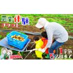 体験チケット 農業体験 一枚で1家族5名様まで参加可能