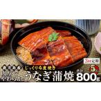 うなぎ 3回定期 蒲焼 160g×5尾