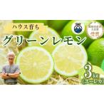 内容量 グリーンレモン 3kg