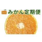 みかん 柑橘類 発送月固定定期便 ボリューム定期便