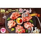極みロース生ハム入り5種食べ比べセット合計1.1kg