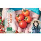 トマト ミニトマトのミニトマト 野菜 高原野菜