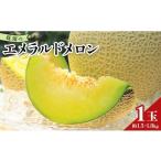 ショッピングふるさと納税 メロン ふるさと納税 メロン メロン青肉 高知県 香南市  発送開始 ブランドメロン エメラルドメロン 1玉 メロン マスクメロン めろん 果物 くだもの 11月から発送開始…