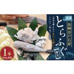 フグ 戸石産 とらふぐ 身欠1本もの600g前後