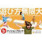 玩具 遊び方無限大 127色から クッションブロック