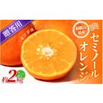 みかん セミノールオレンジ 約2kg