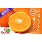 みかん セミノールオレンジ 約5kg