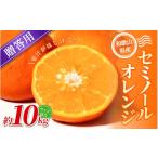みかん セミノールオレンジ 約10kg