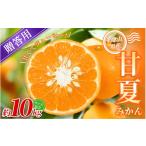 みかん 甘夏みかん 約10kg