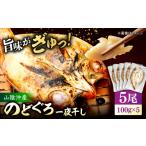 ふるさと納税 干物 島根県 松江市 山陰沖産のどぐろ一夜干し100g以上×5 島根県松江市／平野缶詰有限会社 ALBZ062 魚介類 健康 冷凍 ノドグロ のどぐろ アカム…