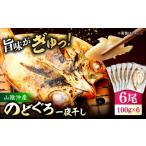 干物 山陰沖産のどぐろ一夜干し6尾 100g以上×6