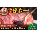 肉質日本一 特選しまね和牛しゃぶしゃぶセット 500g×2パック