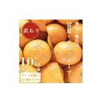 みかん 柑橘類 先行受付 甘夏&amp;サンフルーツ各5kg