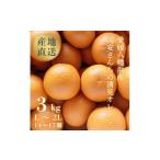 みかん 柑橘類 オレンジ 先行受付 まるで食べるジュース