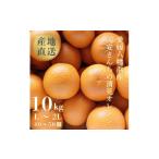 みかん 柑橘類 オレンジ 先行受付 まるで食べるジュース