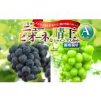果物の詰合せ つる付き ニューピオーネ 晴王