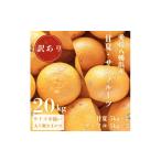 みかん 柑橘類 先行受付 甘夏&amp;サンフルーツ各10kg