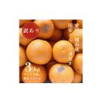 みかん 柑橘類 先行受付 まるで食べるジュース