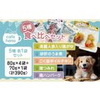 加工品等 レトルト ペットフード 5種
